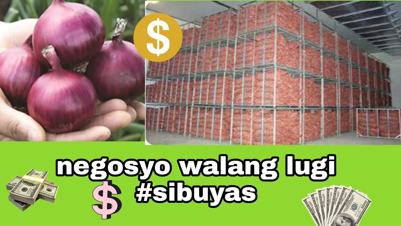 Negosyong walang lugi | sibuyas | storage room