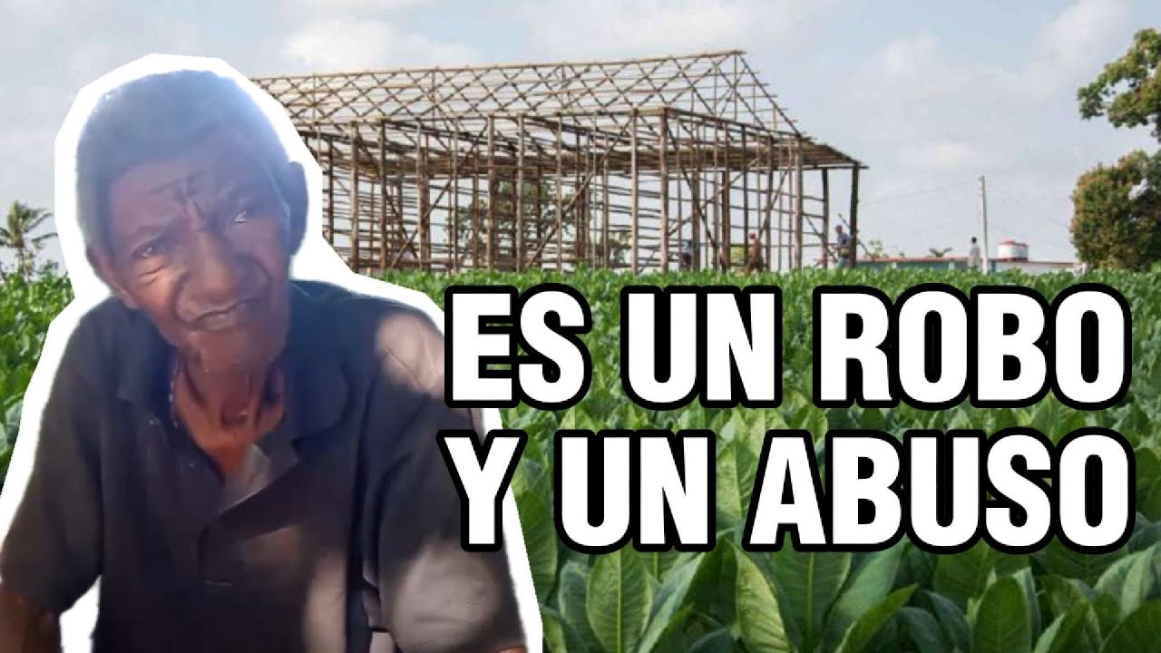 Tabacaleros denuncian arbitrariedades del Grupo Empresarial TABACUBA