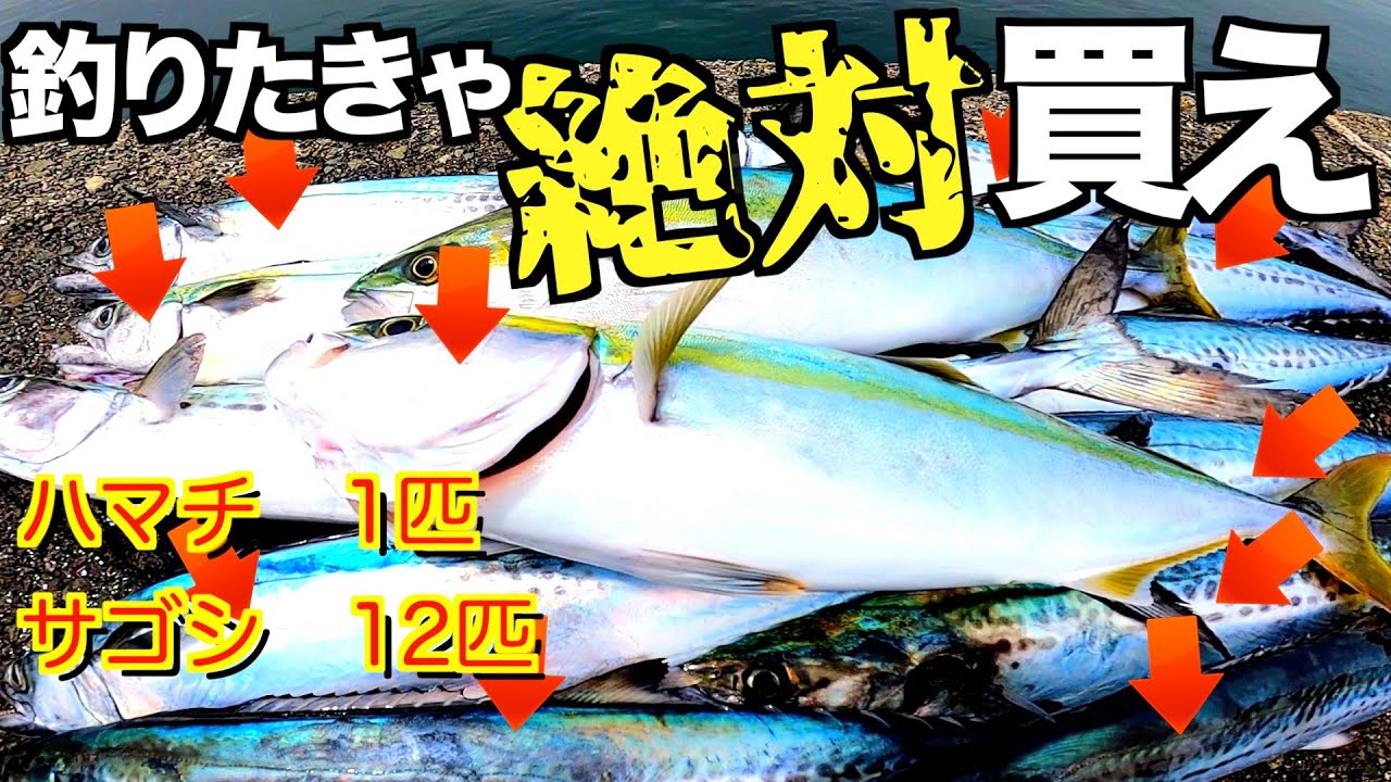 【絶対買え】マジで釣りが激変するルアー2024