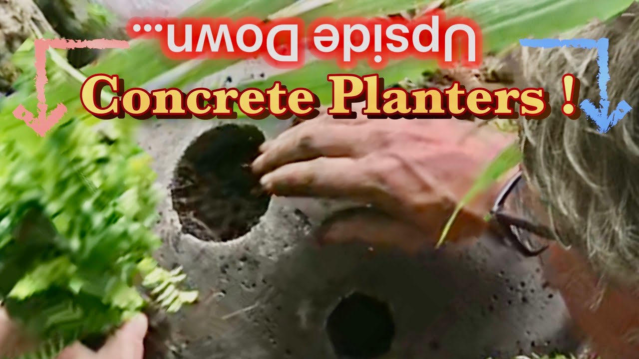 How to make upside down concrete planters filled with planting holes !