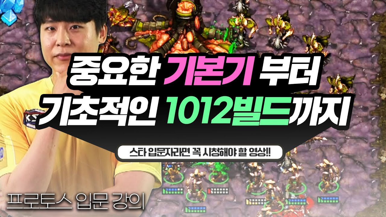 이것만 보셔도 초보는 탈출입니다!!  프로토스 저그전 기초 입문강의