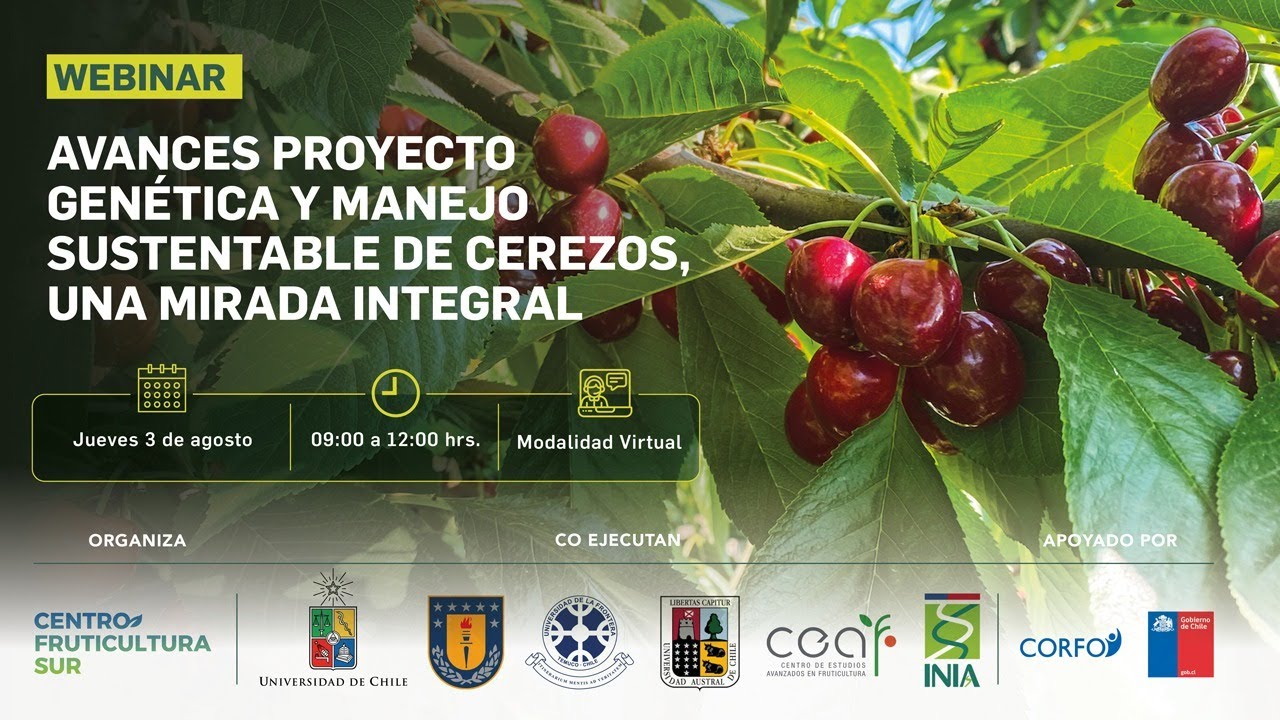Webinar: 