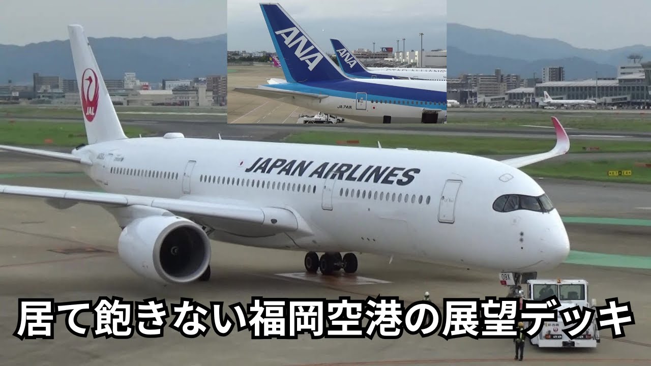 2025年9月　福岡空港展望デッキから撮影した航空機