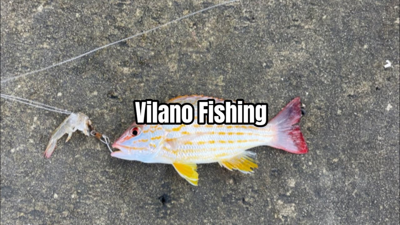 Vilano Fishing