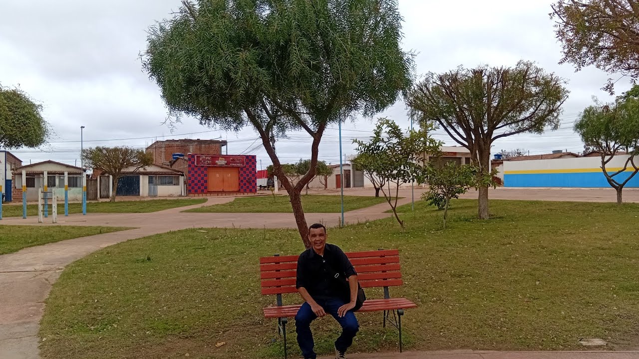 Hoje mostrando Renascer