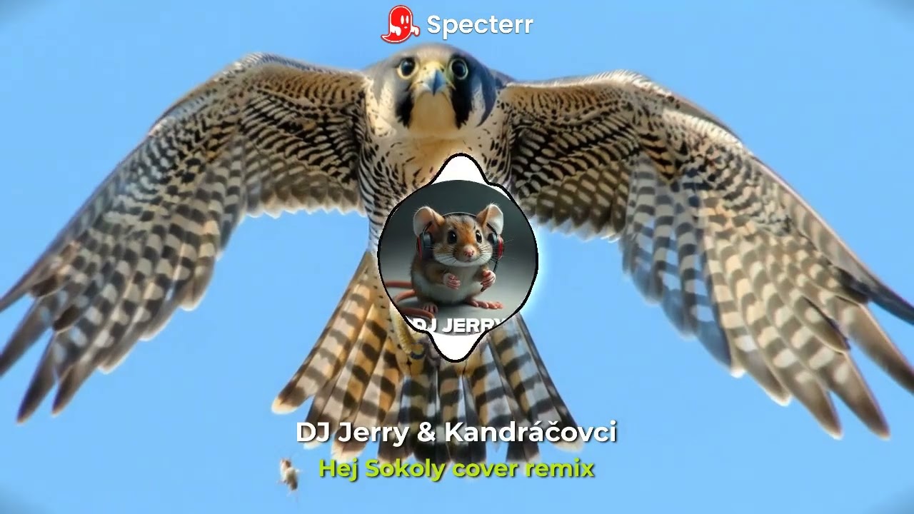 DJ Jerry & Kandráčovci - Hej sokoly cover remix