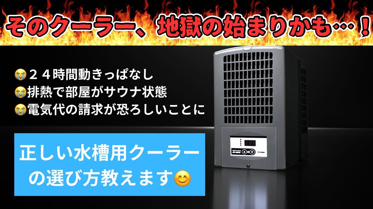 【危険】間違った水槽クーラー選びで起きる3つの悲劇とは？冷えない・壊れる・電気代爆増！後悔しない水槽クーラーの正しい選び方をプロが伝授します！