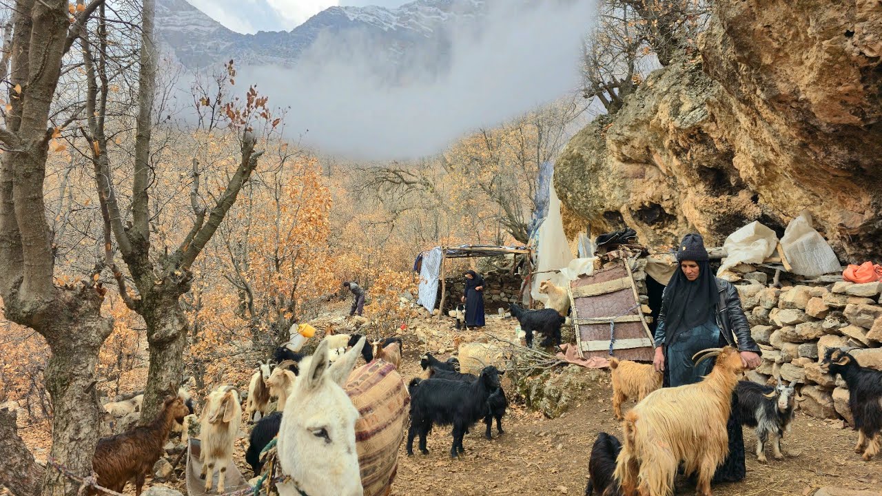 Living in a Cave After the Rain | Misty Morning, Warm Bread & Nomadic Life 🌧️🥖