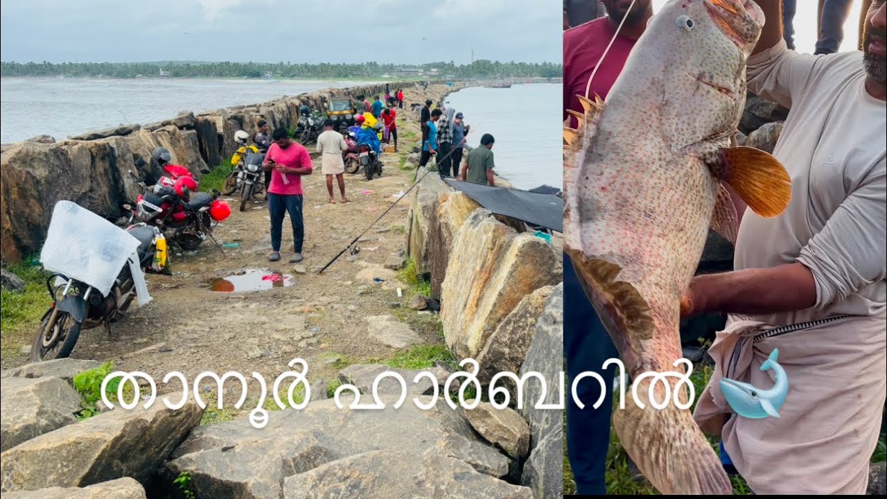 താനൂർ stories 