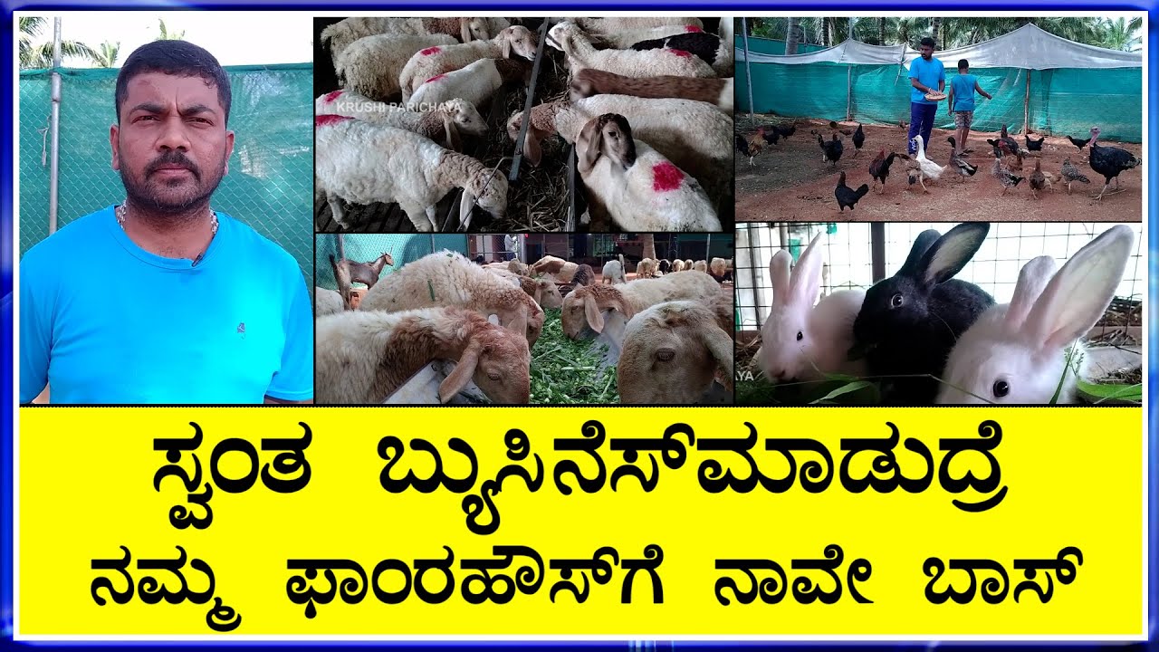 ವರ್ಷಕ್ಕೆ 2ಬ್ಯಾಚ್  ಟಗರು ಸಾಕಾಣಿಕೆ ಮಾಡಿ  2ರಿಂದ 3 ಲಕ್ಷ  ಒಳ್ಳೆಆದಾಯಗಳಿಸಿ