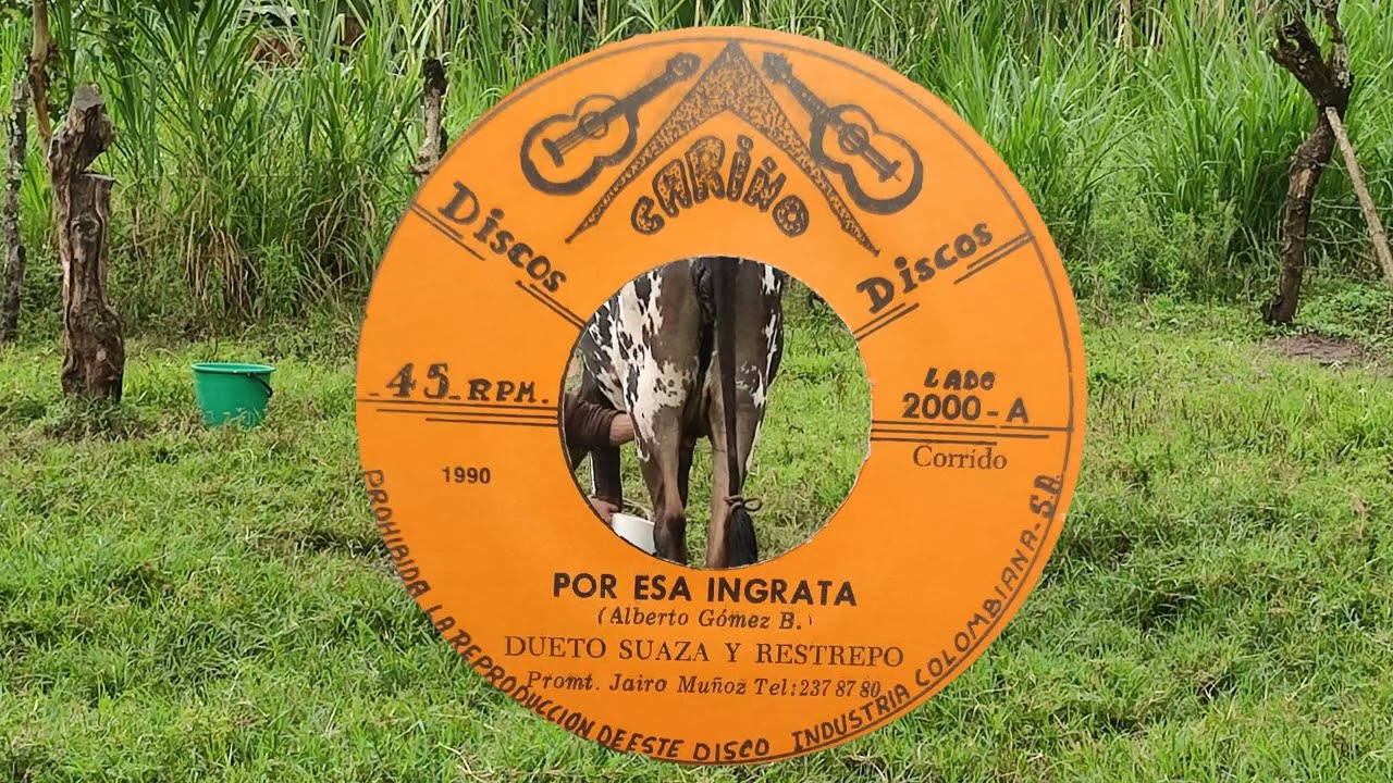 POR ESA INGRATA- DUETO SUAZA Y RESTREPO .(Corrido de Alberto Gómez B.)