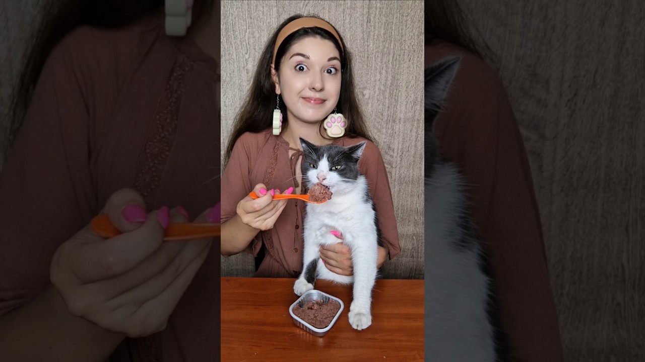 Cat vs Me: Who Likes Cat Food More? 😹🍴