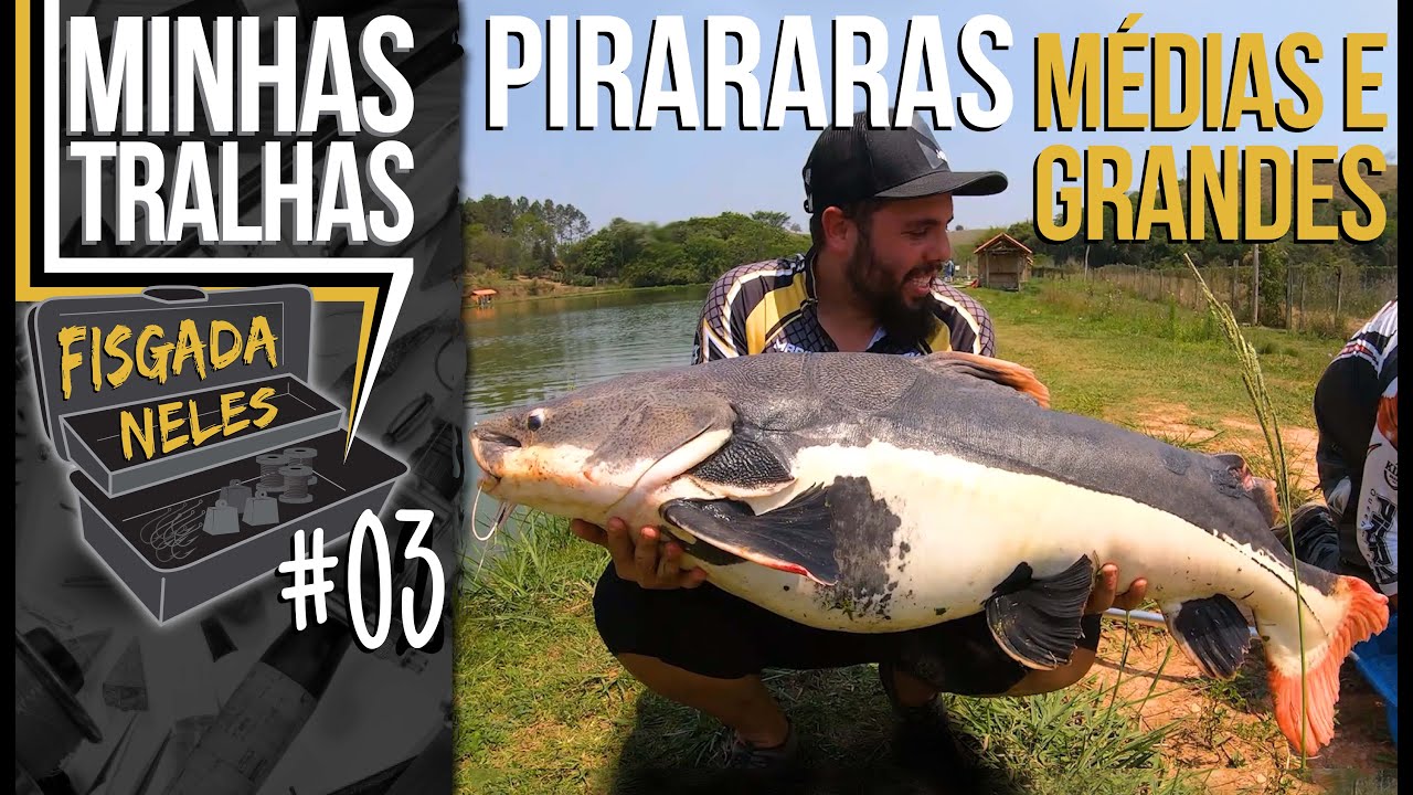 #3- CONJUNTO PRA PIRARARAS DE GRANDE E M&Eacute;DIO PORTE
