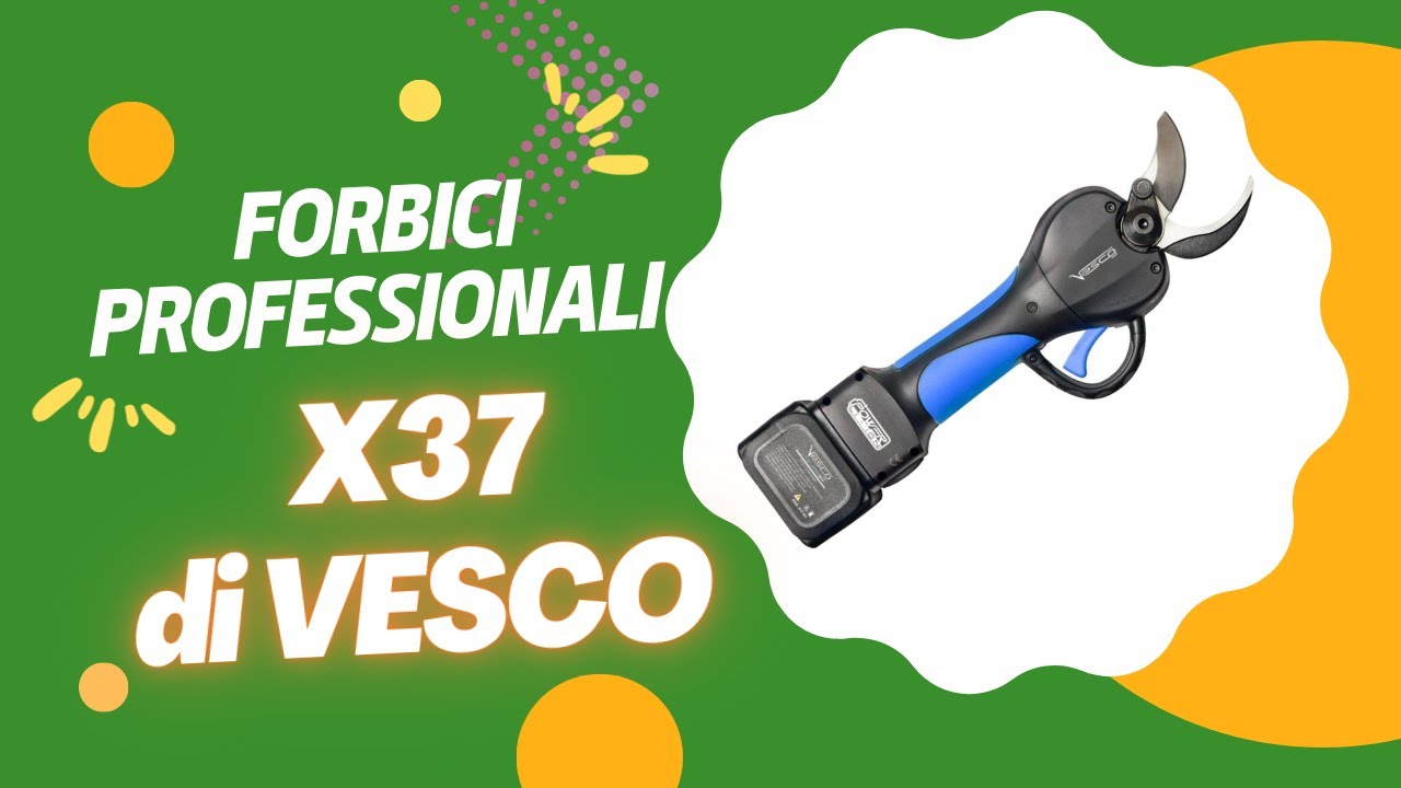 Forbice da potatura professionale? Prova X37 di Vesco!
