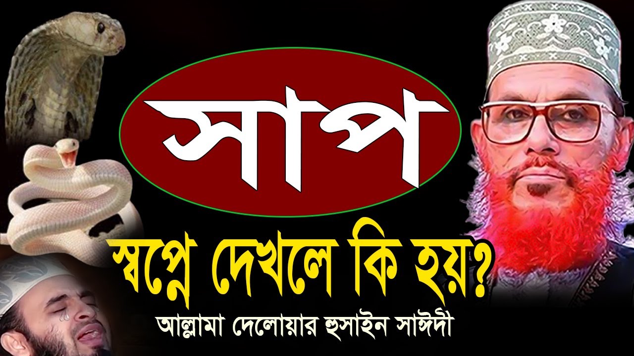 স্বপ্নে সাপ দেখলে কি হয়?? জানলে চমকে যাবেন=allama saidi old waz- মাওলানা দেলওয়ার হোসাইন সাঈদী26