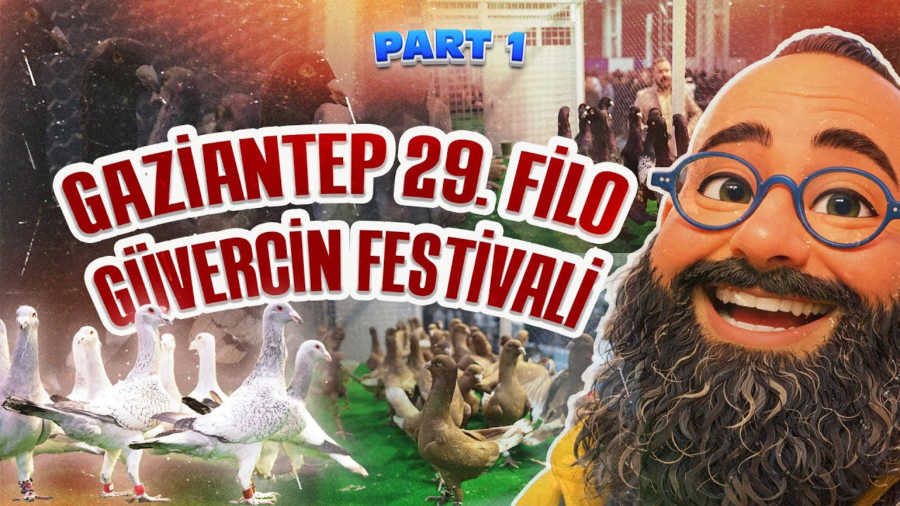 Gaziantep 29. Filo Güvercin Festivali Part 1 | BU SOHBET KAÇMAZ! 