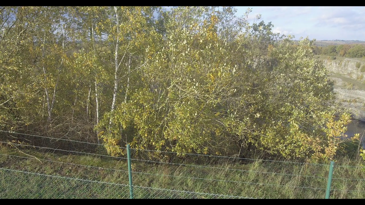 Vidéo Drone à Andenne Belgique