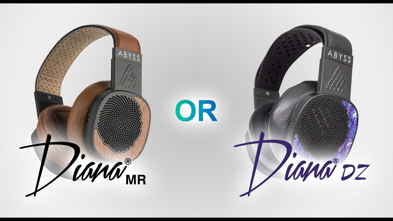 Diana MR or  Diana DZ, Let&rsquo;s Compare