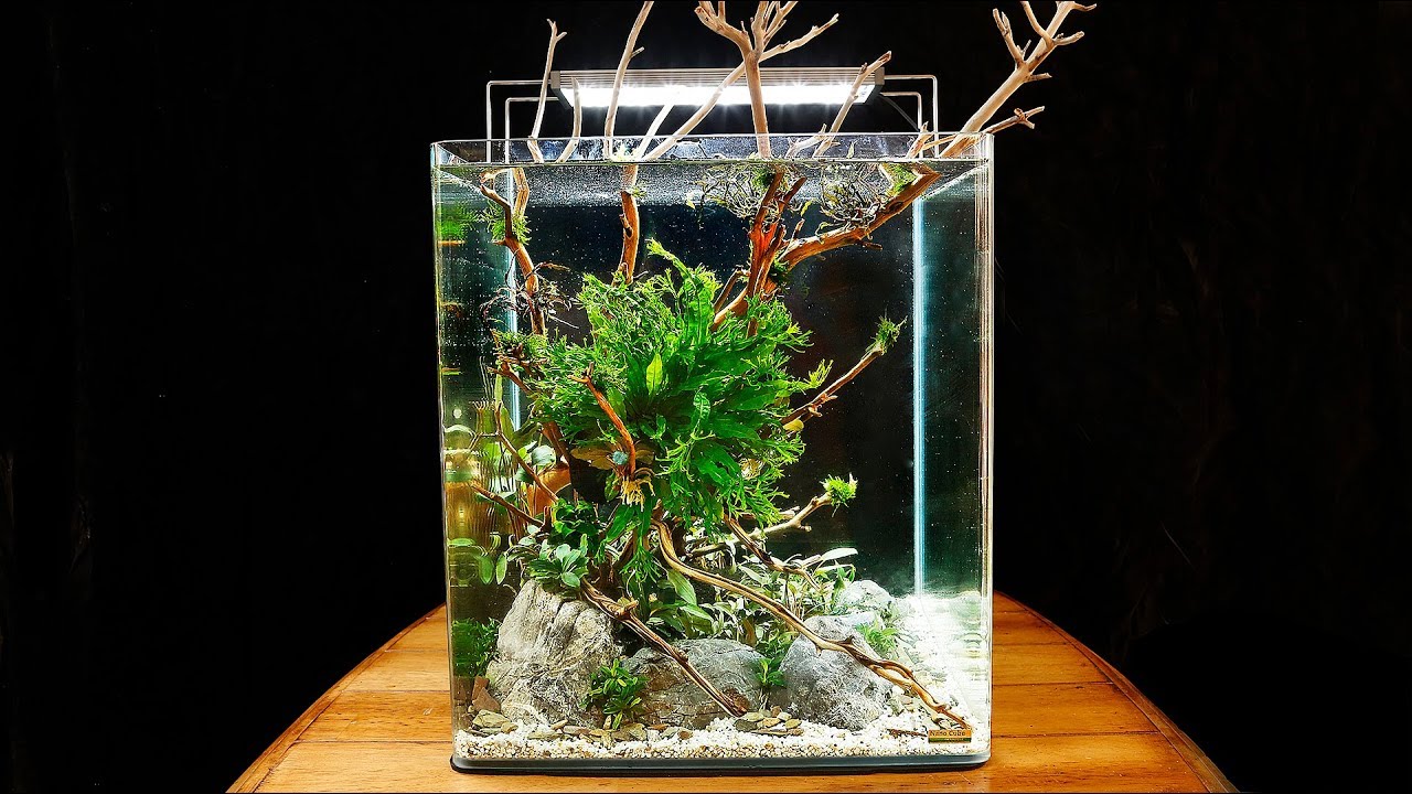 HOW TO AQUASCAPE a Dennerle NanoCube Planted Tank (30K sub special)