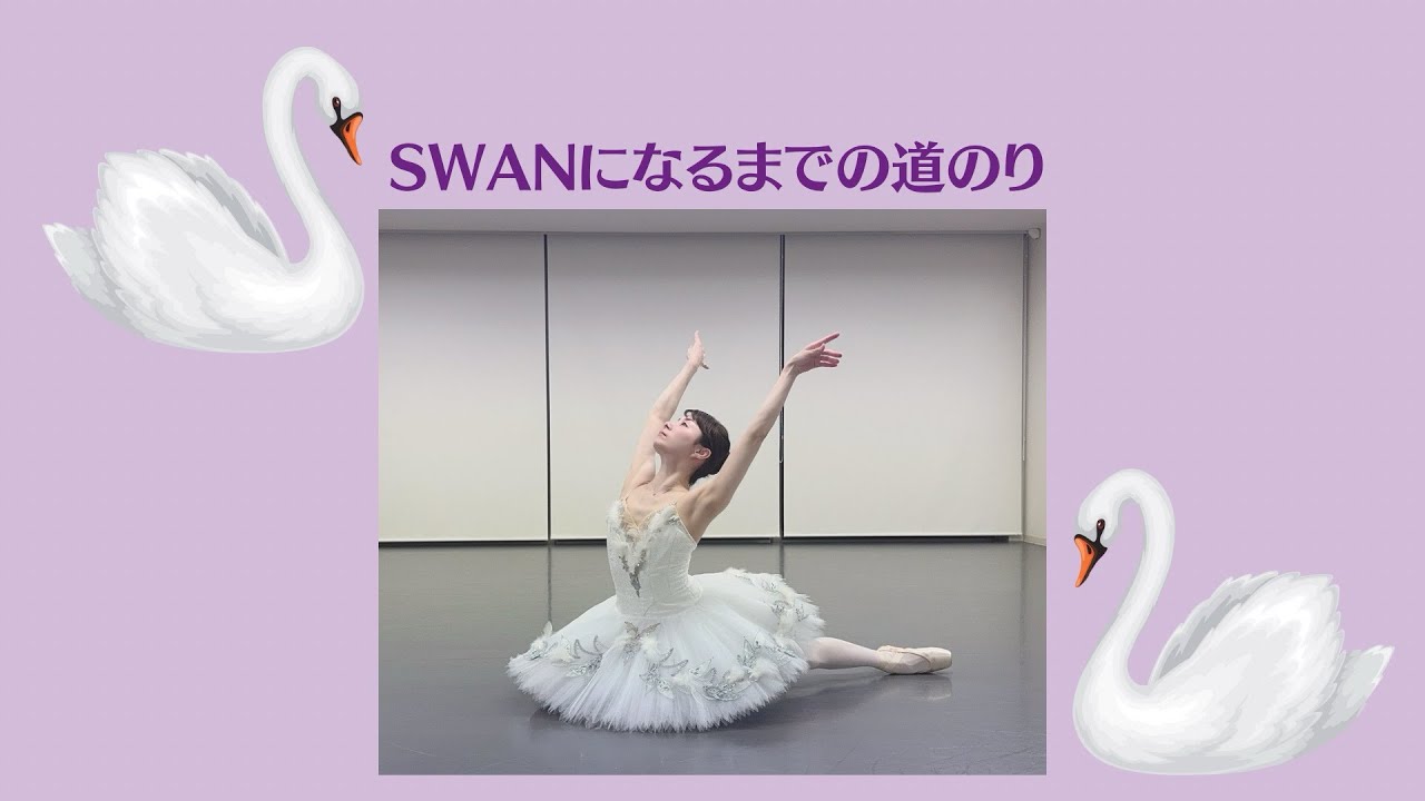 【白鳥になるまでの道のり】