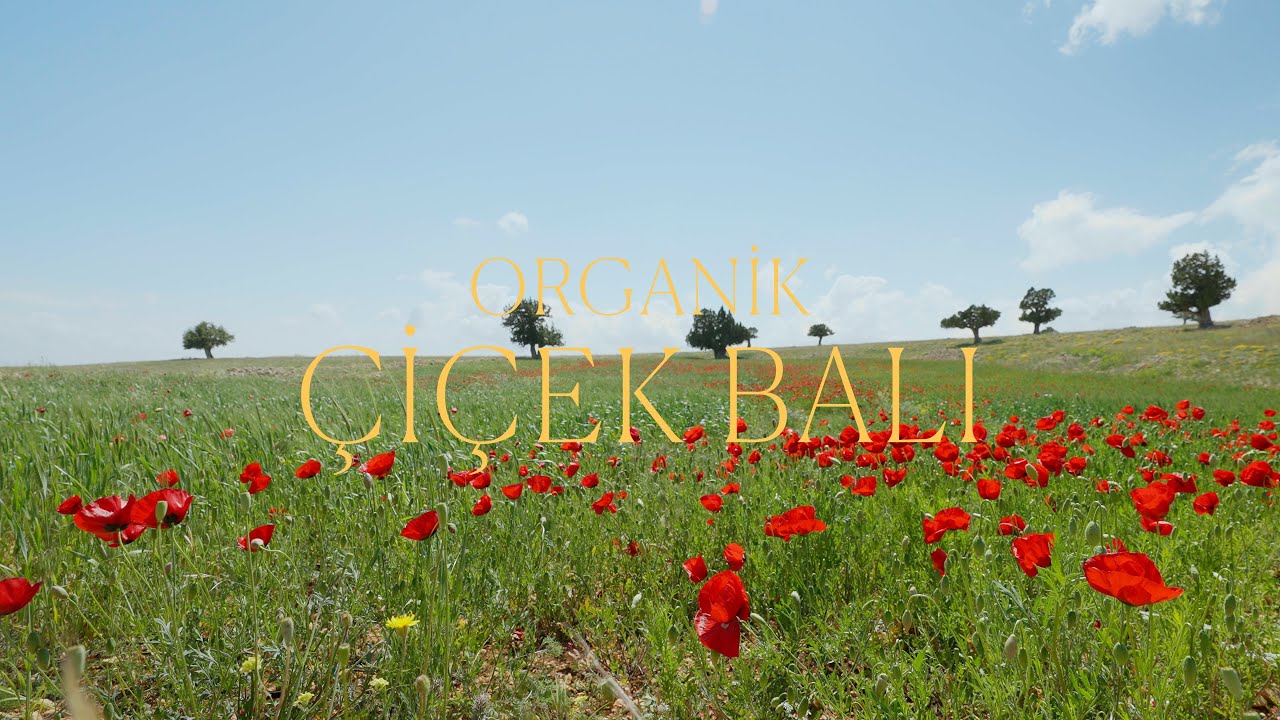 Organik Çiçek Balı