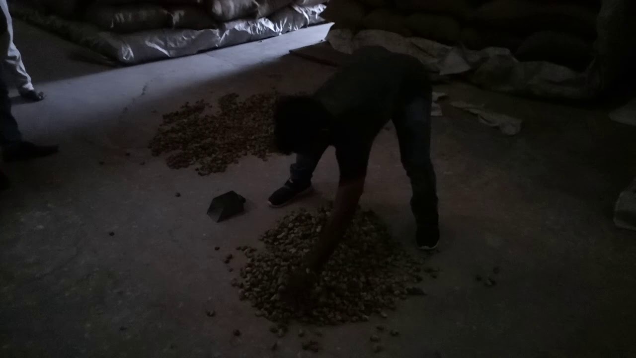 RBS TEST OF INSHELL RAW CASHEW NUT PART-2