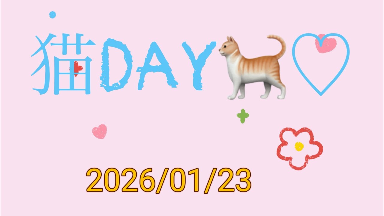【vol.142】猫DAY🐈♡#猫#cat #日常#ダイエット#ジム#トレーニング#筋トレ#癒し#購入品#可愛い#おやすみ#睡眠#ヒーリング#BGM