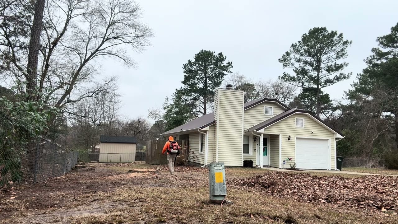 yard Full of Leaves… watch this CLEAN UP