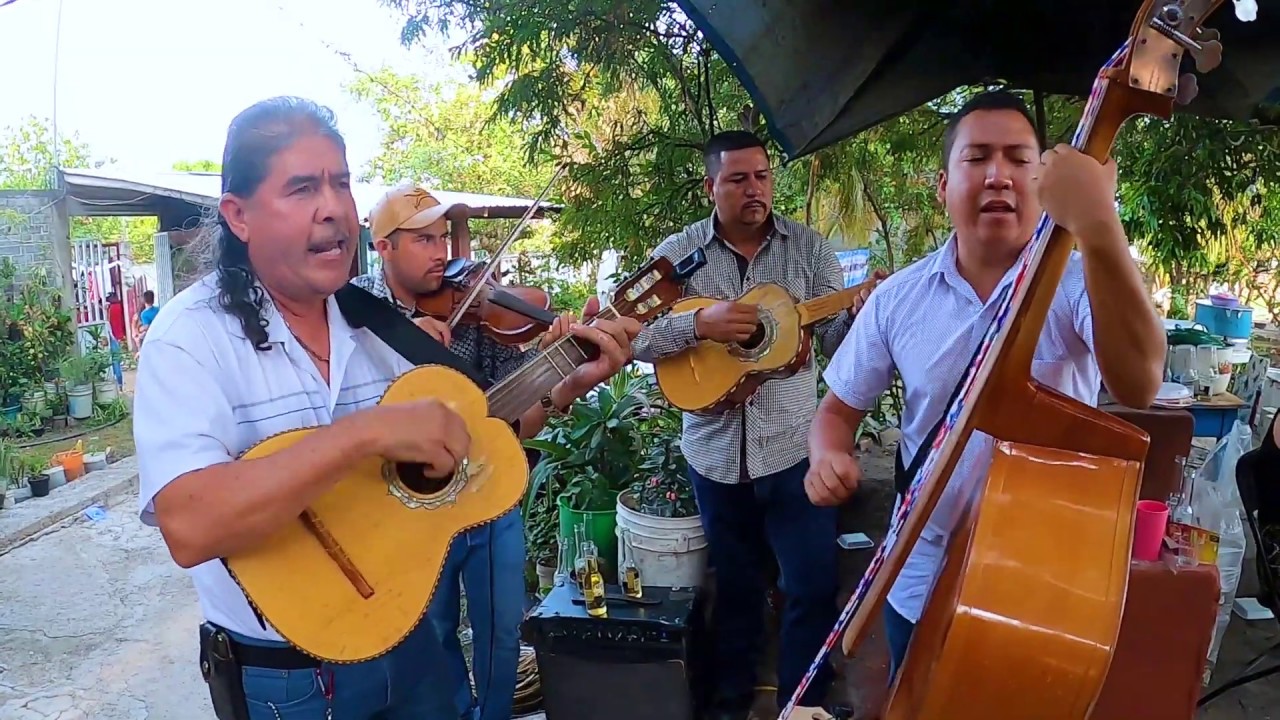 La Peineta - Los Potrillos De Turicato