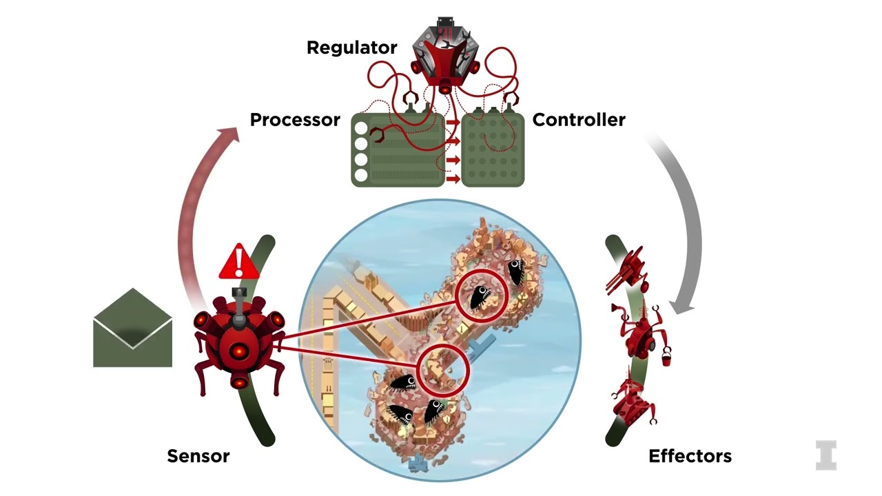 VCM515 - 'Dynamics of the Immune System' Lecture Clip: Immunopolis