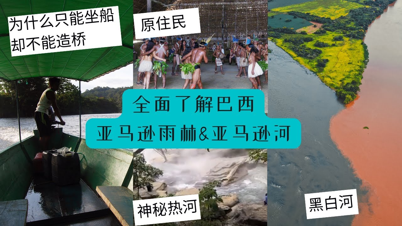 真实的亚马逊：雨林秘境与河中地狱全揭秘
