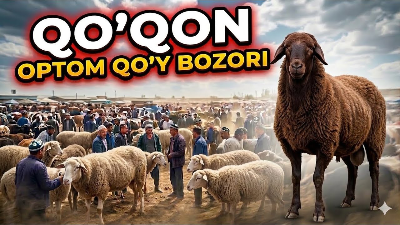 🔥QO’QON OPTOM QO’Y BOZORI.10.03.2026