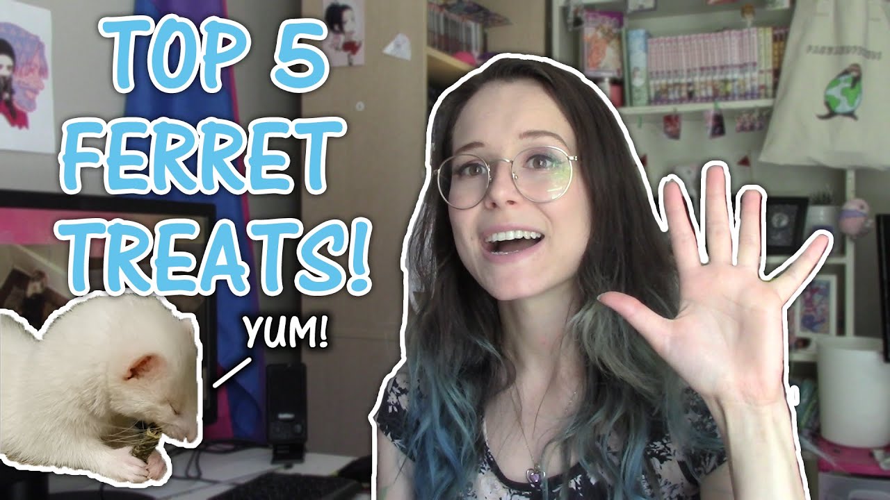 TOP 5 FERRET TREATS!