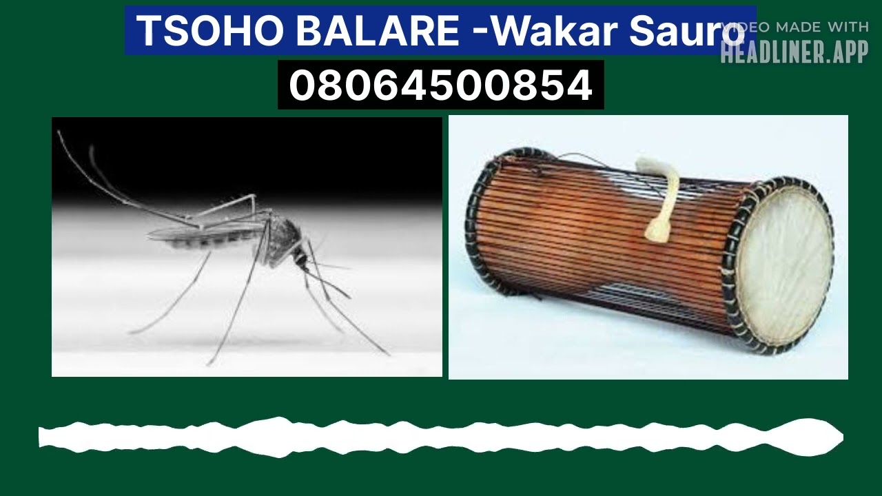 TSOHO BALARE WAKAR SAURO