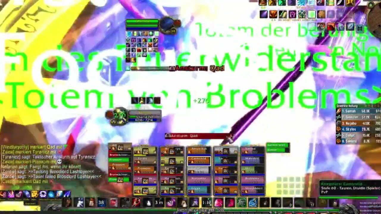 Brootlord Sod BWl Heal Mage WoW Classic Gear Score 1013