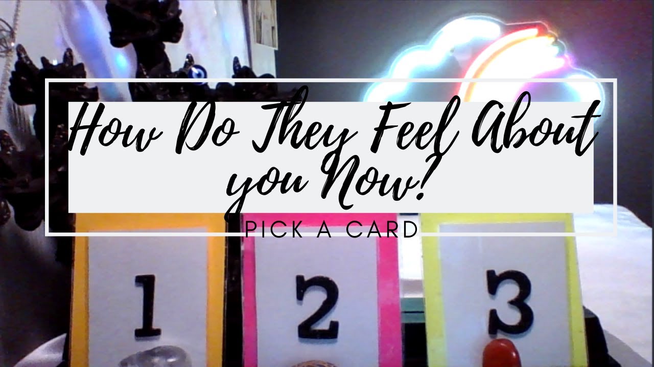❤️How Do They Feel About You Now?🤔 TIMELESS PICK A CARD Tarot Reading