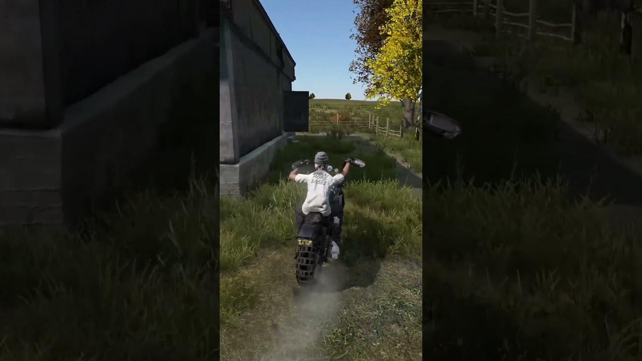 Build More Bases #dayz #pvp #raid