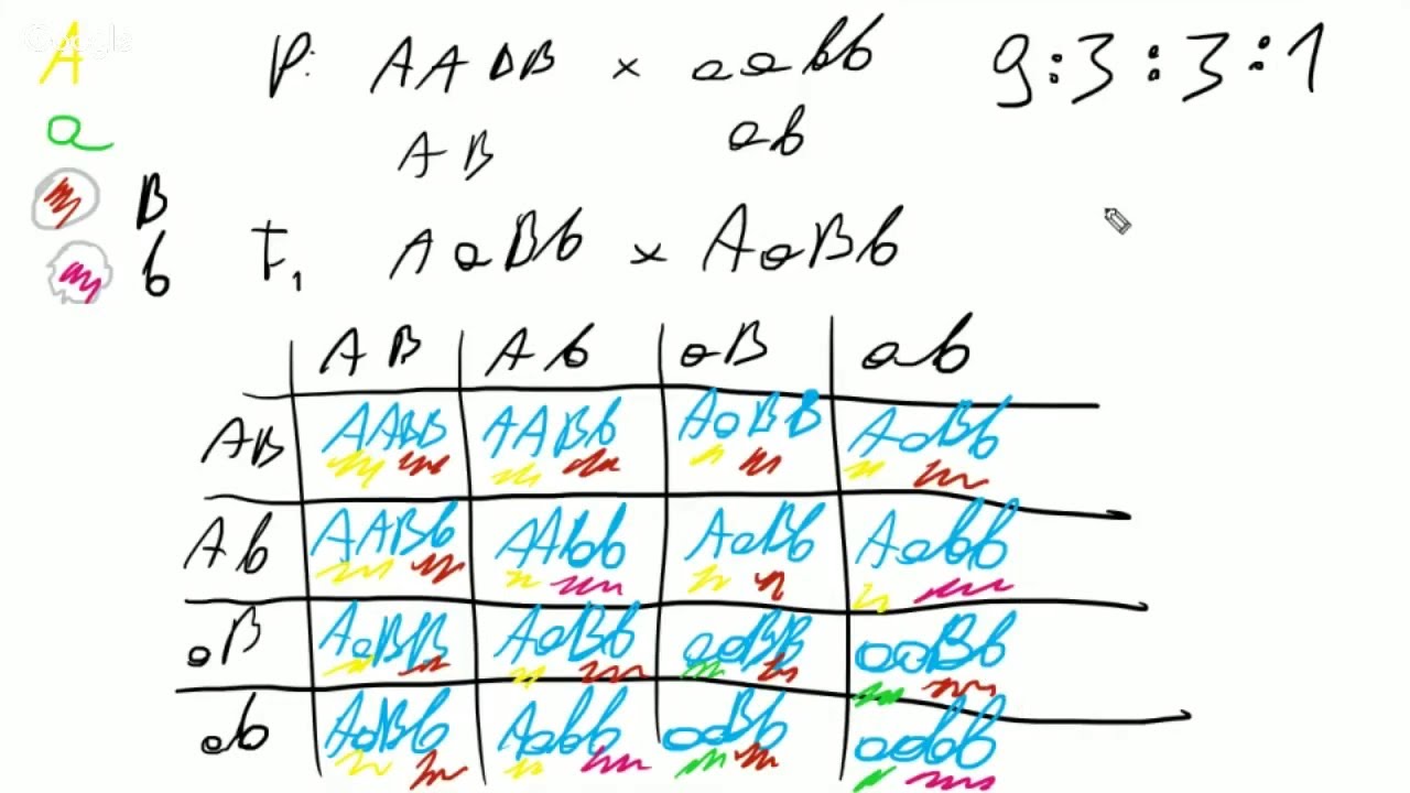 Darmowe Korepetycje z Biologii: Prawa genetyki