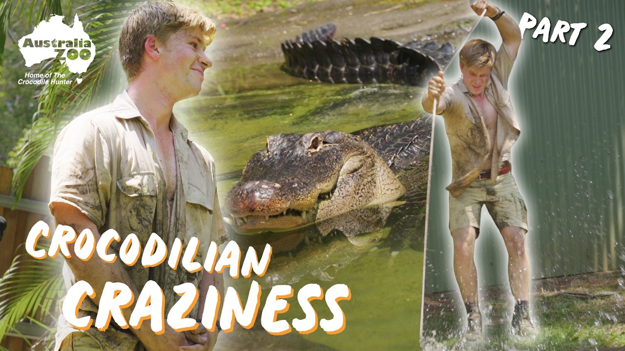 A New Home For These Crocodilians | Australia Zoo Life