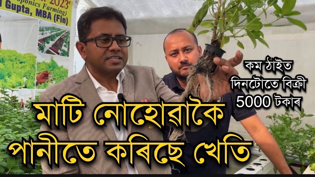 পানীত কৰিছে খেতি No soil farming ।Hydroponic farming in Assam।Hydroponic farming । Pranjal Gogoi