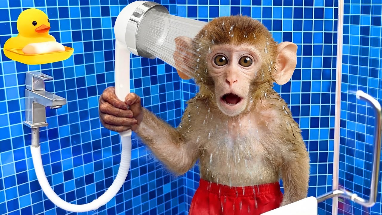 Bebé mono bañándose en el baño comiendo fruta con patitos junto a la piscina |  Monito y Canciones
