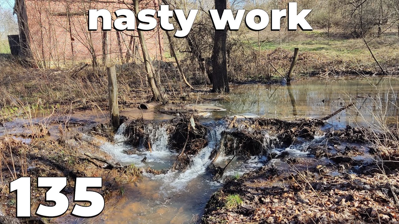 Nasty Job - Manual Beaver Dam Removal No.135