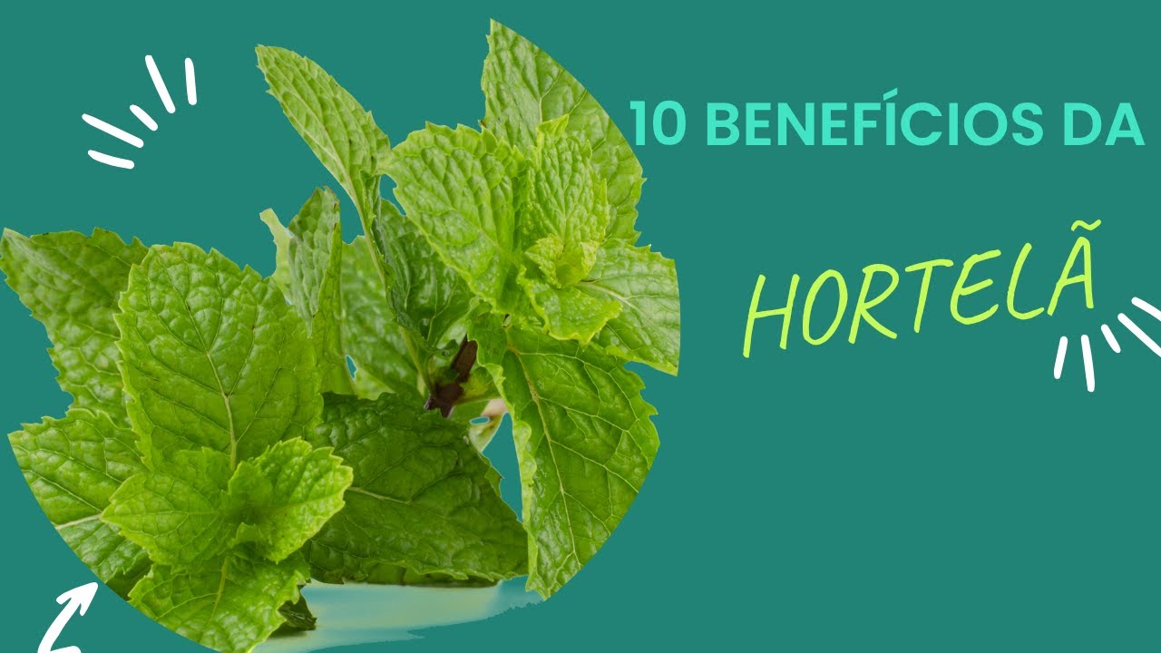 10 BENEFÍCIOS DA HORTELÃ🍃