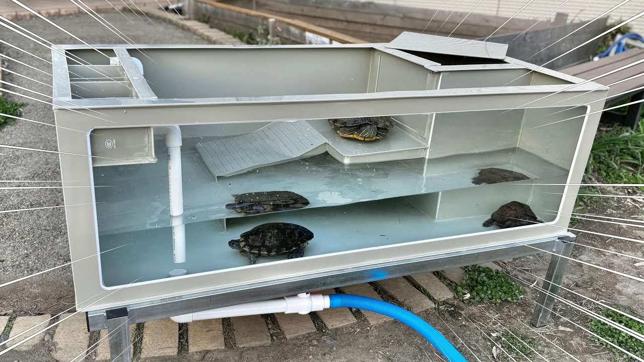 前面ガラスで排水付き！カメ飼育に最強の容器を遂に発見しました