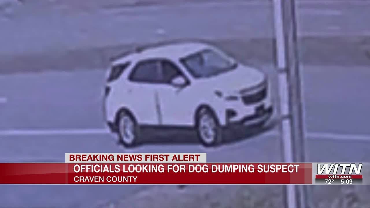 Craven County deputies looking for car that dumped dog twice along highway