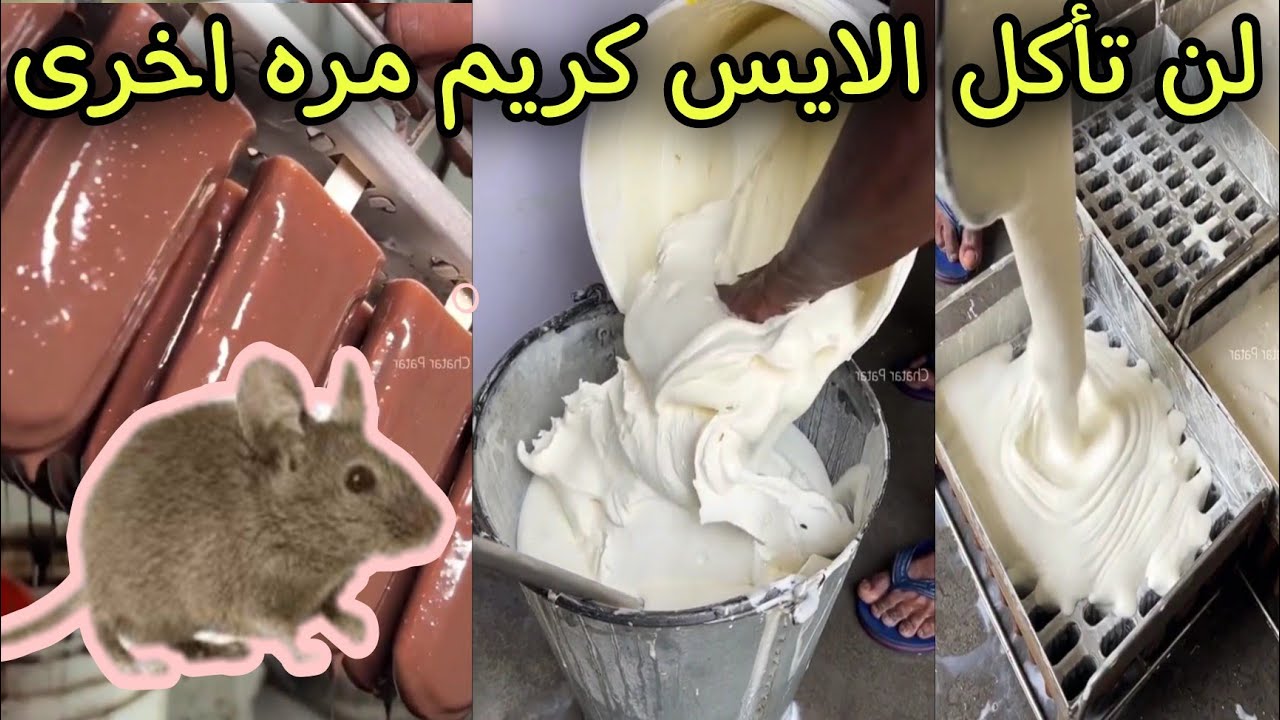 التفاصيل المرعبة حول اسوأ مصنع ايس كريم في العالم 🐀🐀 The worst ice cream factory in the world