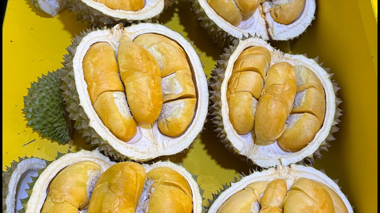 DURIAN DURI HITAM SEDAP