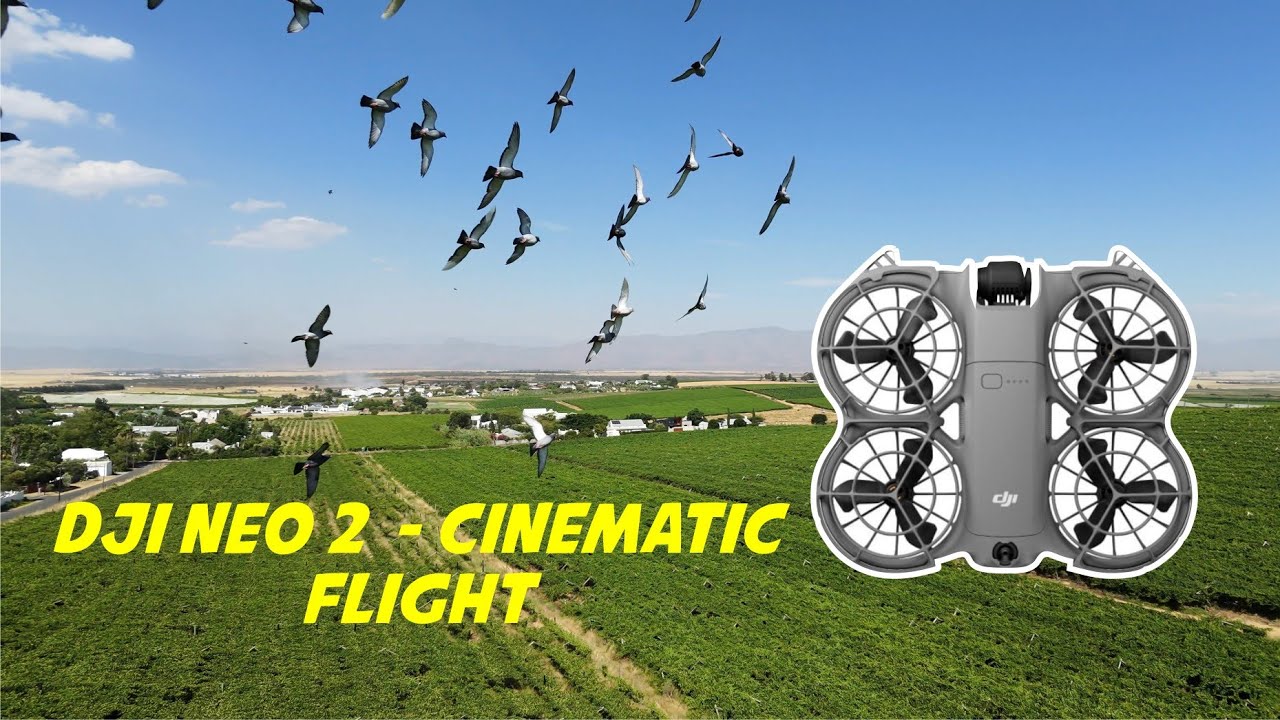 DJI NEO 2 CINEMATIC FLIGHT TEST  in high winds  #djineo2 #djineo #wind