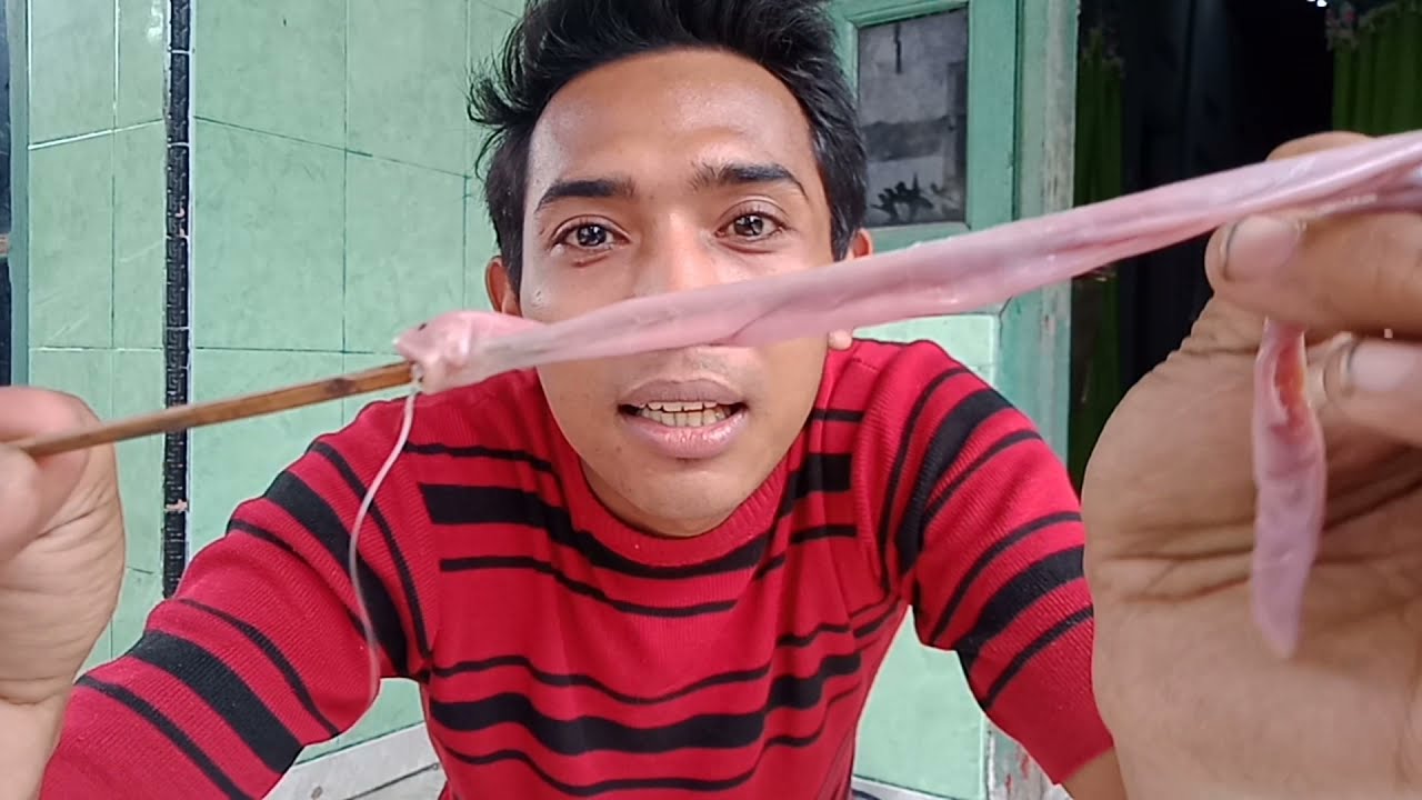 RANGKAIAN  UMPAN  USUS AYAM DAN CARA PEMASANGAN...!!!!