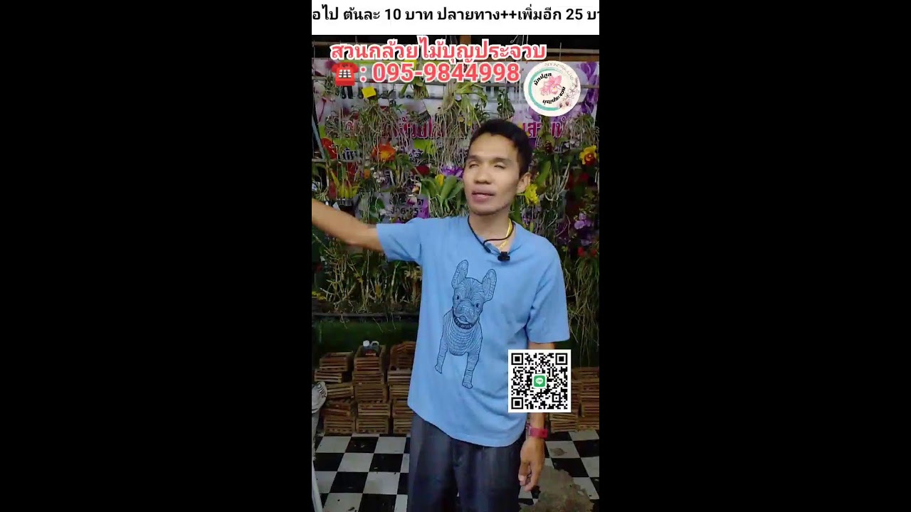 อัพเดทราคากล้วยไม้ EP.738 18/3/69 